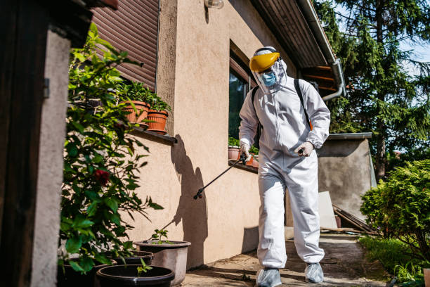 Best Affordable Pest Control Services  in Spring Arbor, MI