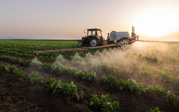 Best Pest Prevention Services  in Spring Arbor, MI