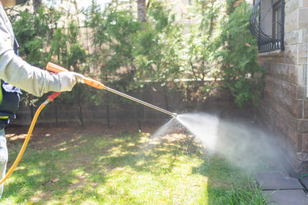 Best Bird Control  in Spring Arbor, MI