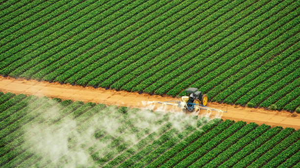 Best Pest Control Cost  in Spring Arbor, MI