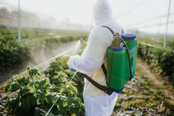 Best Local Pest Control Services  in Spring Arbor, MI